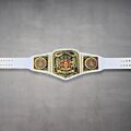 nxt uk belt
