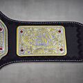 Big Gold Belt WWE World Heavyweight