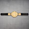 Heavyweight Champion Belt