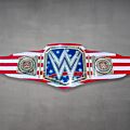 wwe us belt