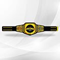 wwe wrestlemania belt