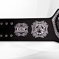 WWE ECW Championship Belt Replica 2008 side plates
