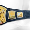 wwe championship spinner belt