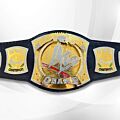 WWE Spinner Belt