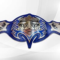 Jeff Hardy Championship Belt