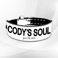 The Rock Weight Lifting Belt Cody Soul