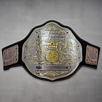 big gold belt wwe