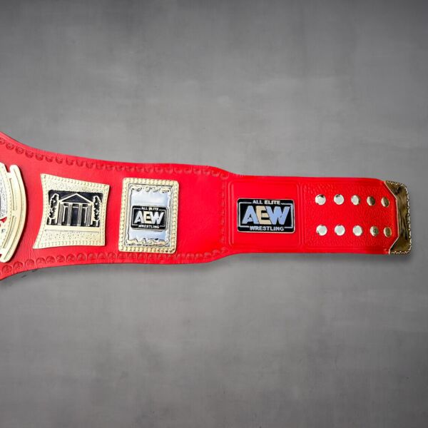 AEW TNT Championship Belt side plates