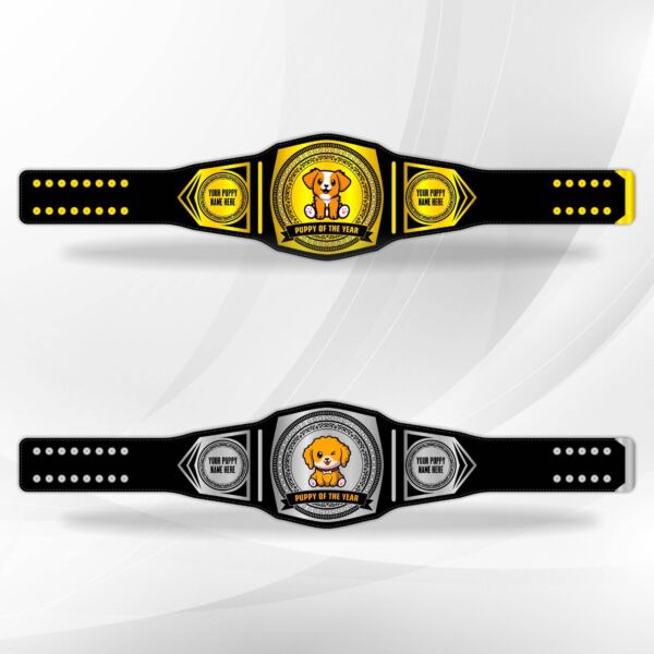 Custom Fantasy Belts