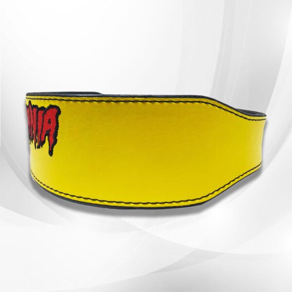 Hulkamania Belt