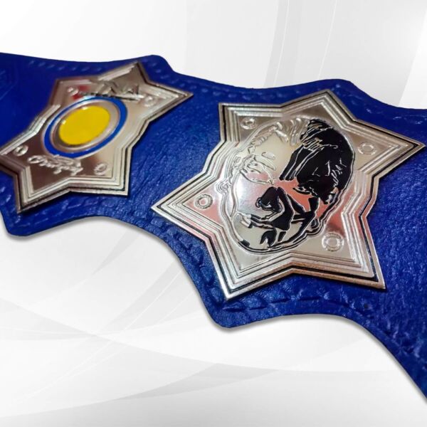 jeff hardy belt