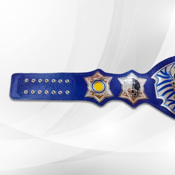 jeff hardy immortal championship