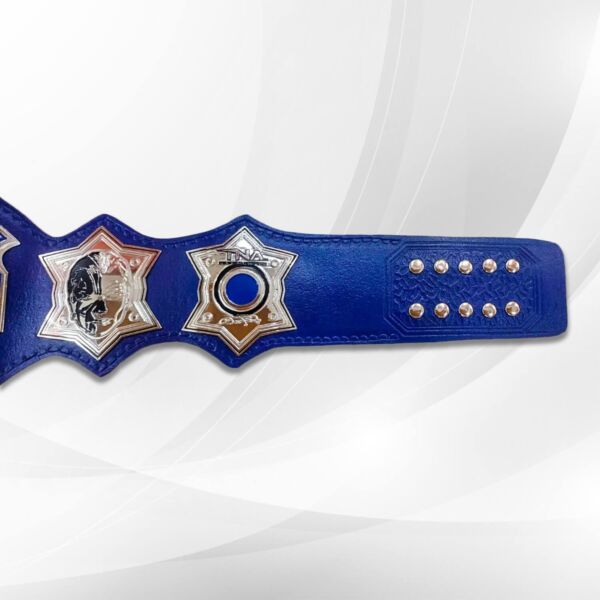 jeff hardy replica belt