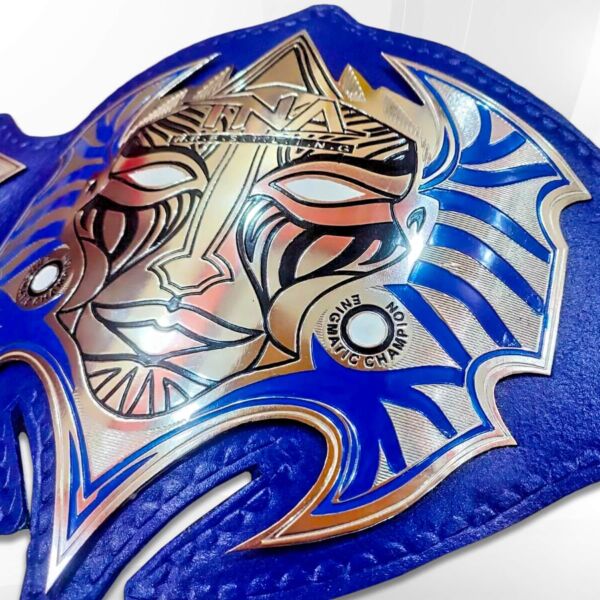 jeff hardy tna championship belt