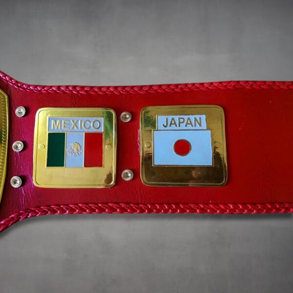 nwa title belt