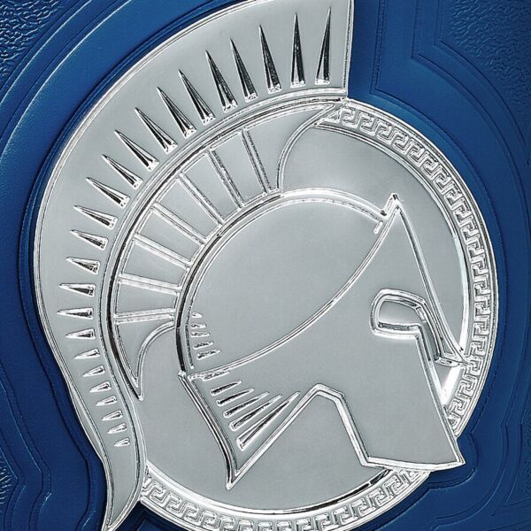 WWE Tag Team Championship Belt side plate