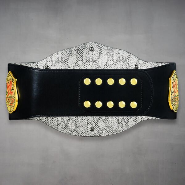 stone cold steve austin championship belt