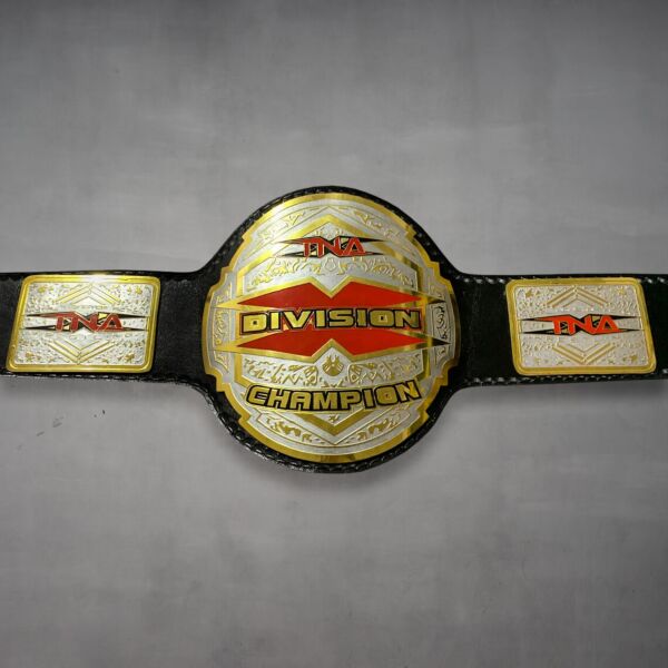 tna x division championship belt