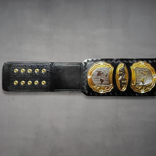 tna replica belt