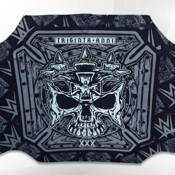 triple h belts back view