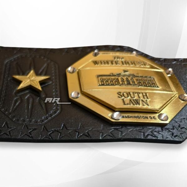 ufc legacy belt replica left side plate