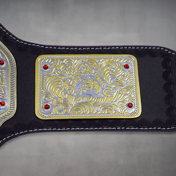 Big Gold Belt WWE World Heavyweight