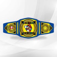 Mario Party Championship Belt