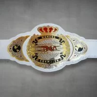 TNA Championship Belt