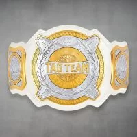 WWE Women's Tag Team Belt