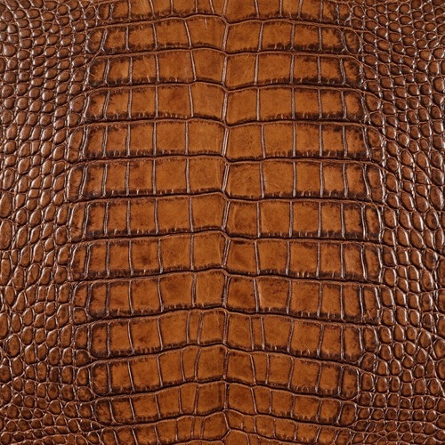 Alligator Texture  + $20.00